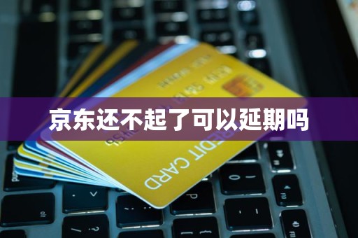 京东还不起可以申请延期吗？个人信用修复服务解析